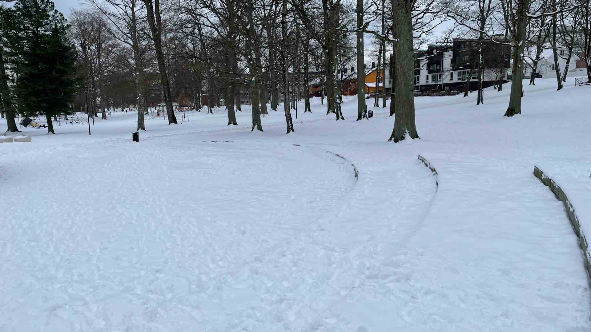Lystlunden Park 2022 – Kunstisbane i Horten 158 Lystlunden Park Urban Utebane 2022 00271 — Horten