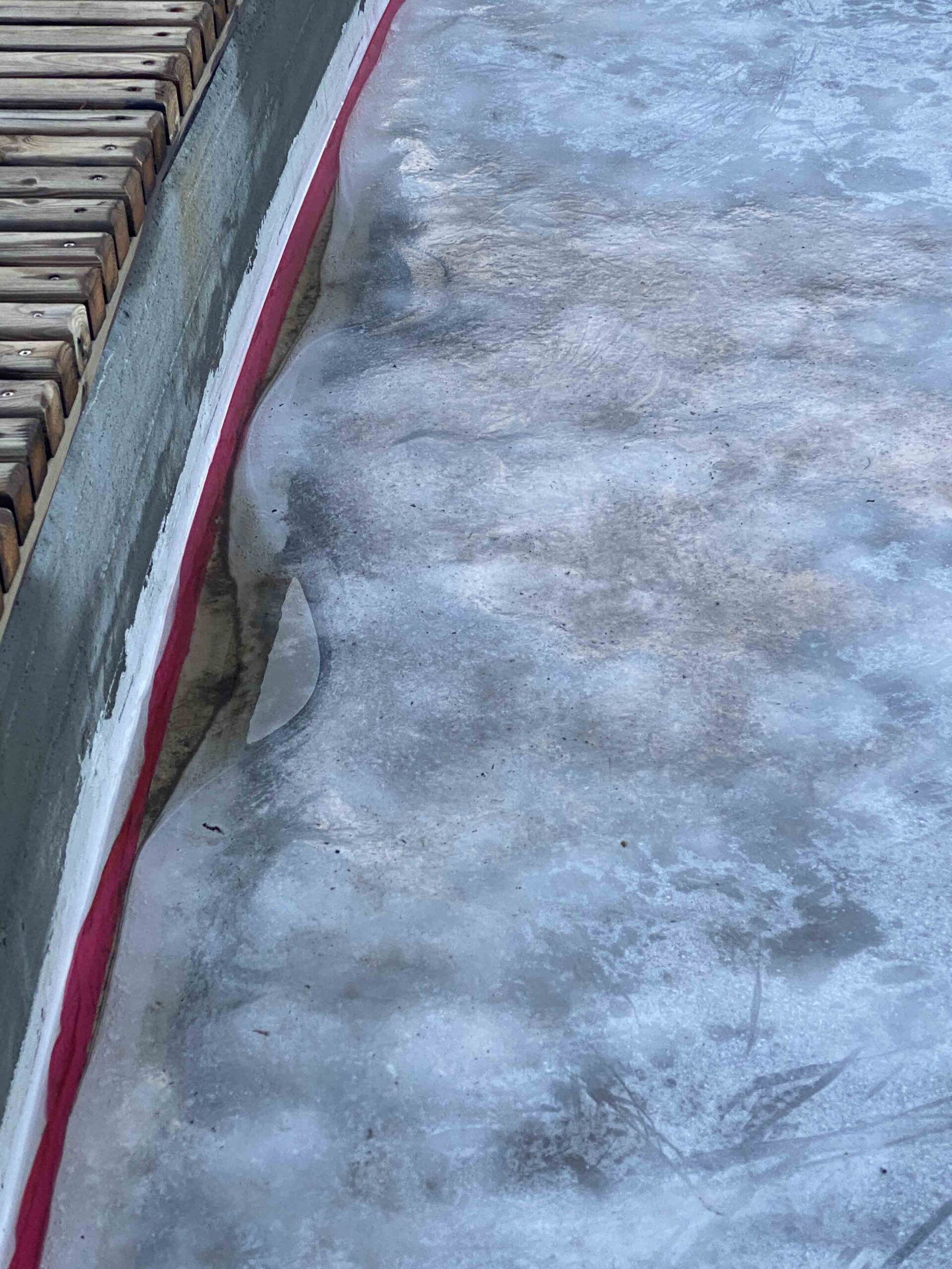 Bodo Urban Utebane 2020 88 scaled — Bodø