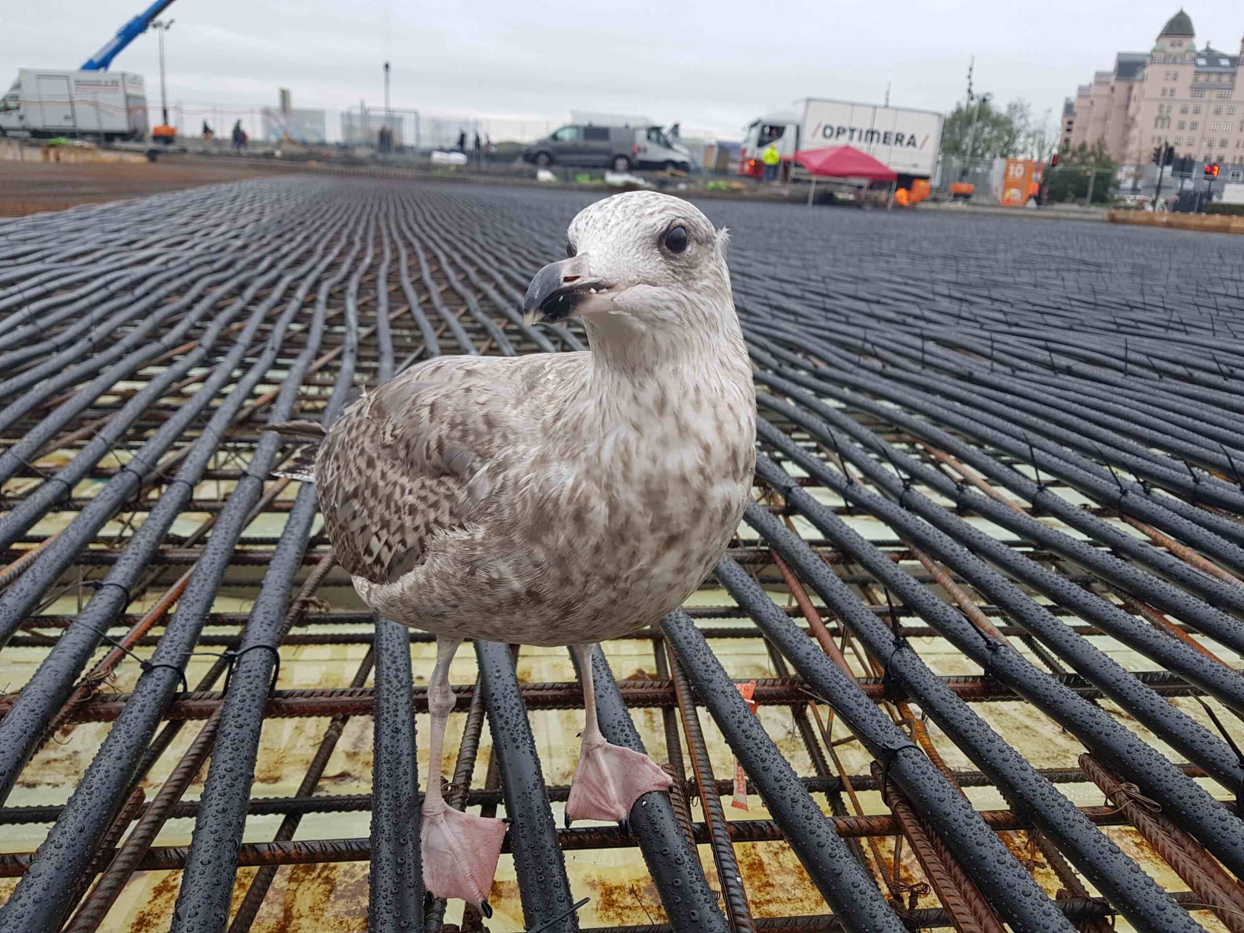 Operaen sentrumsbane 2018 — prosjektbilde