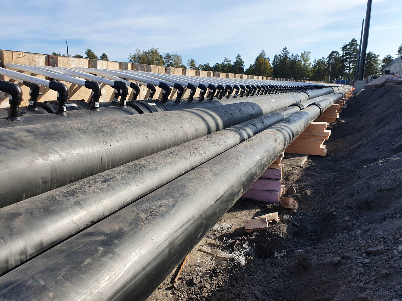 Maier Arena 2019 — prosjektbilde