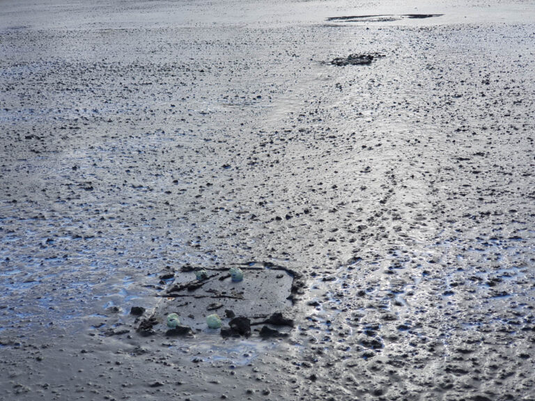 20190930 131117 — Tønsberg