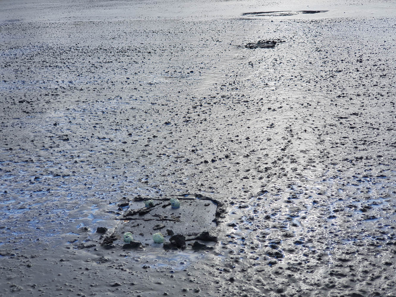 20190930 131117 — Tønsberg