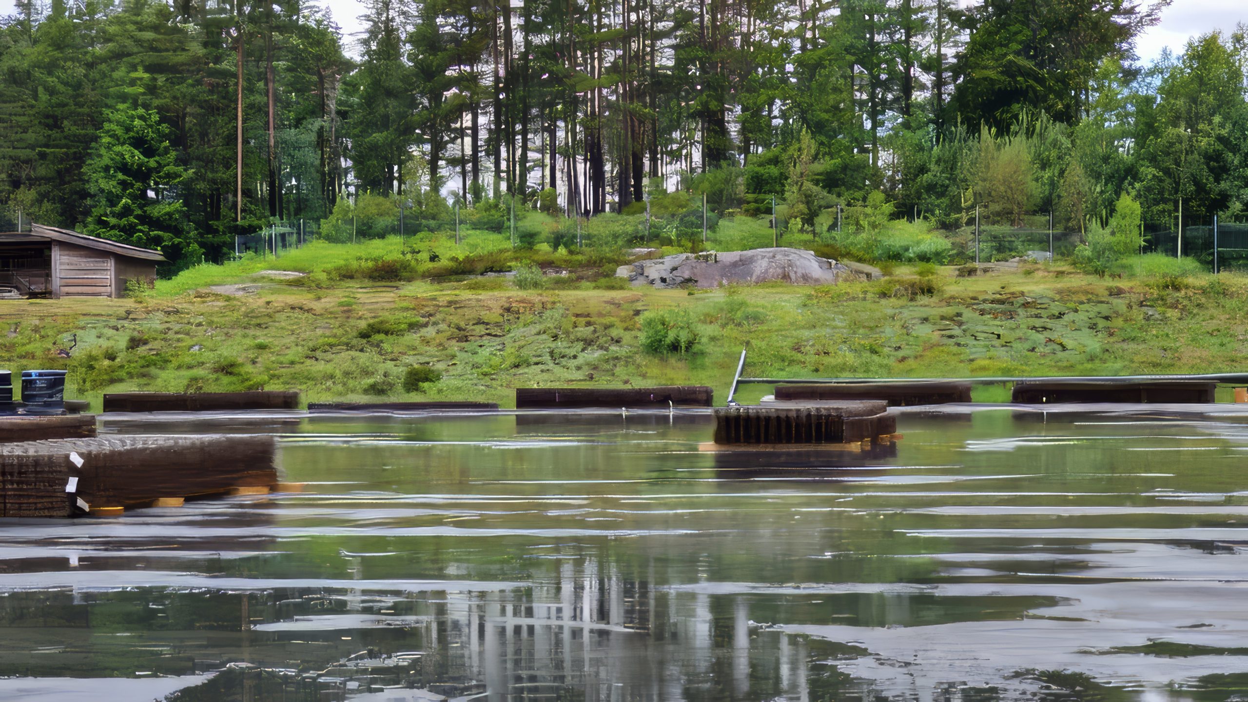 Rehabilitering Av Myra kunstisbane87 scaled — Arendal