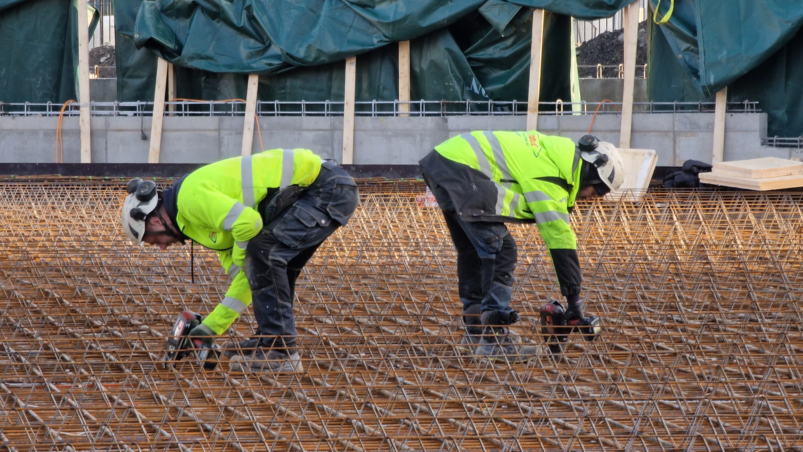 APP 20230213 1857232 scaled — Oslo