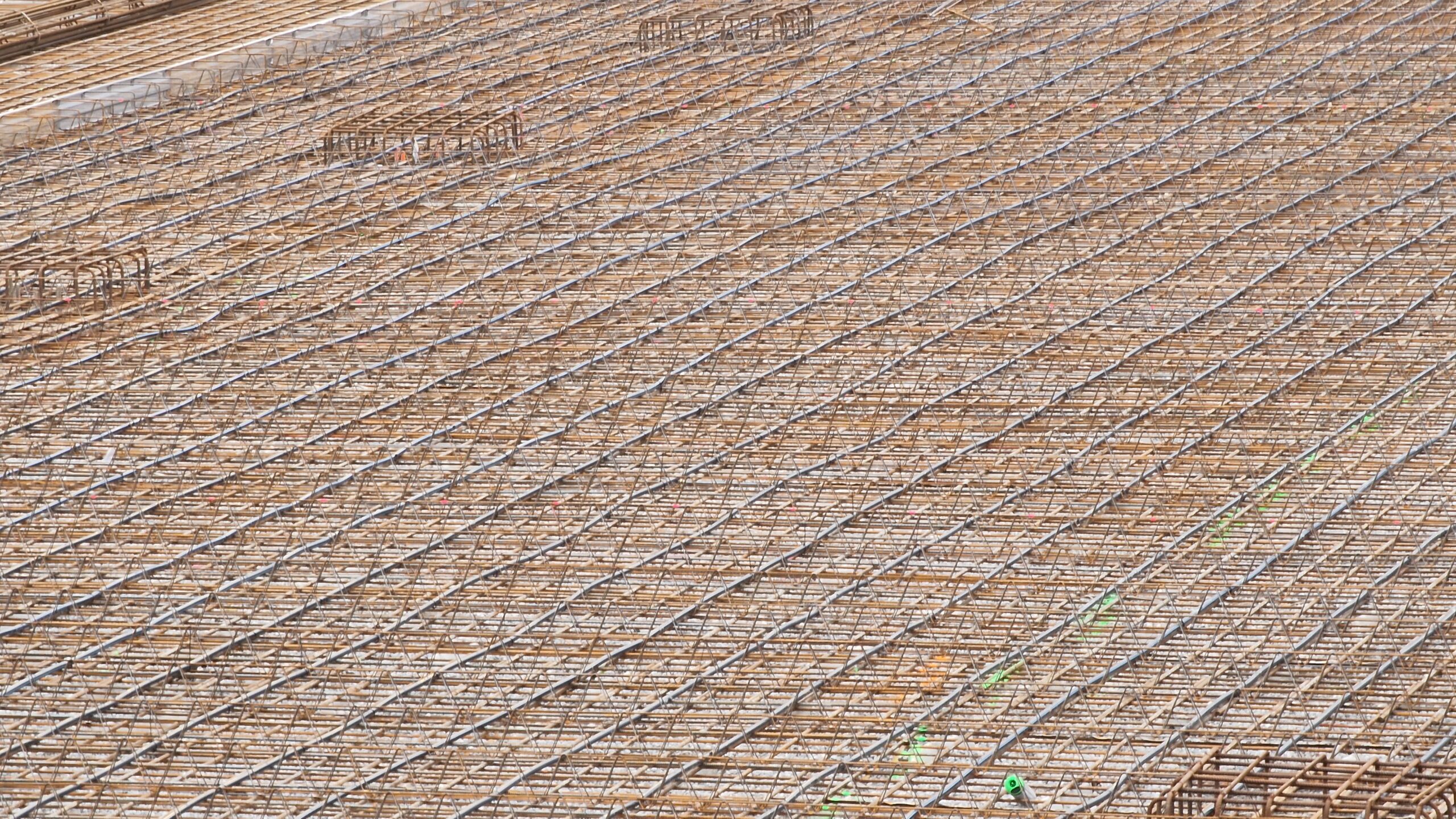 APP 20230215 2215147 scaled — Oslo