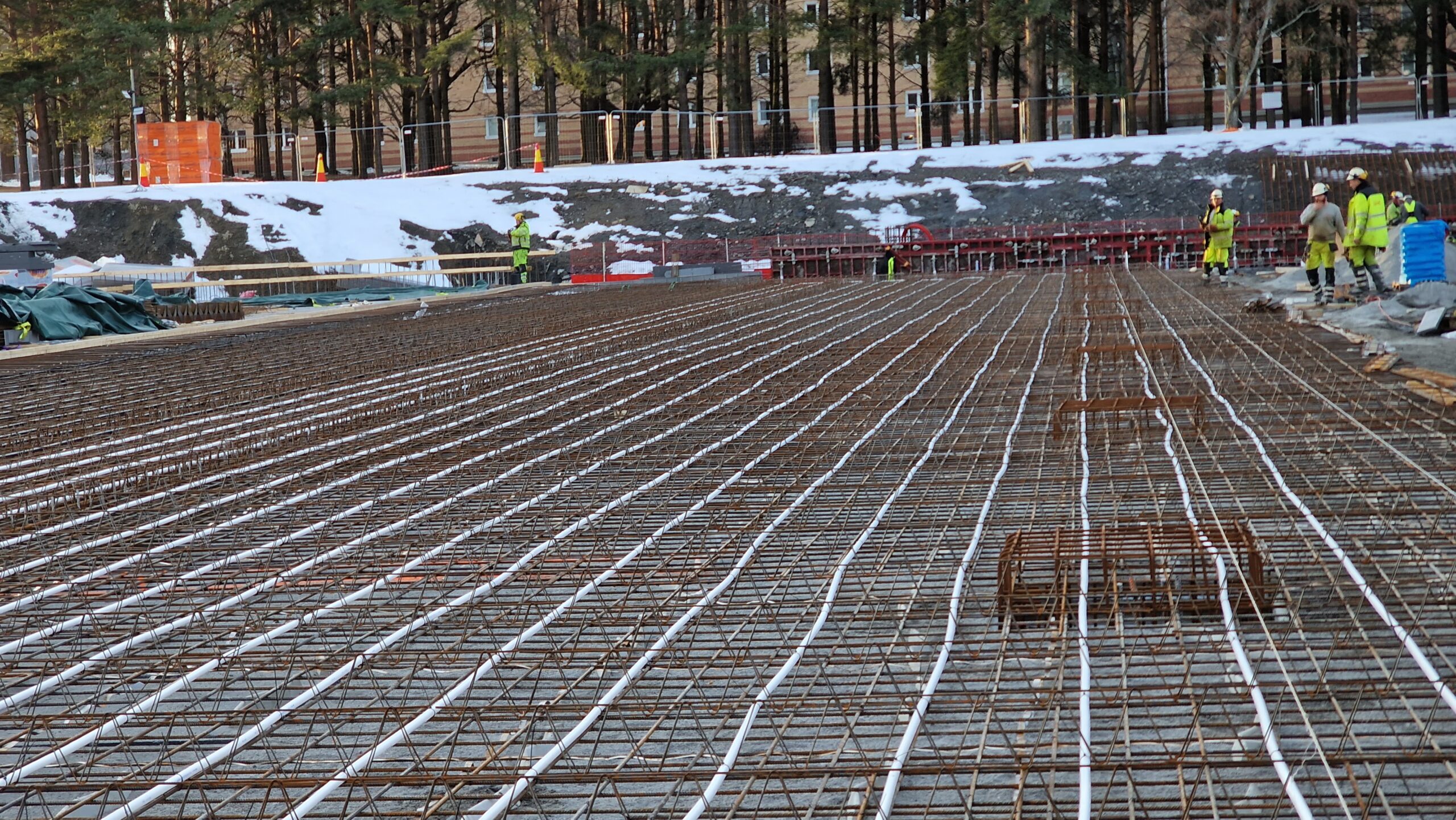 APP 20230304 08250621 scaled — Oslo