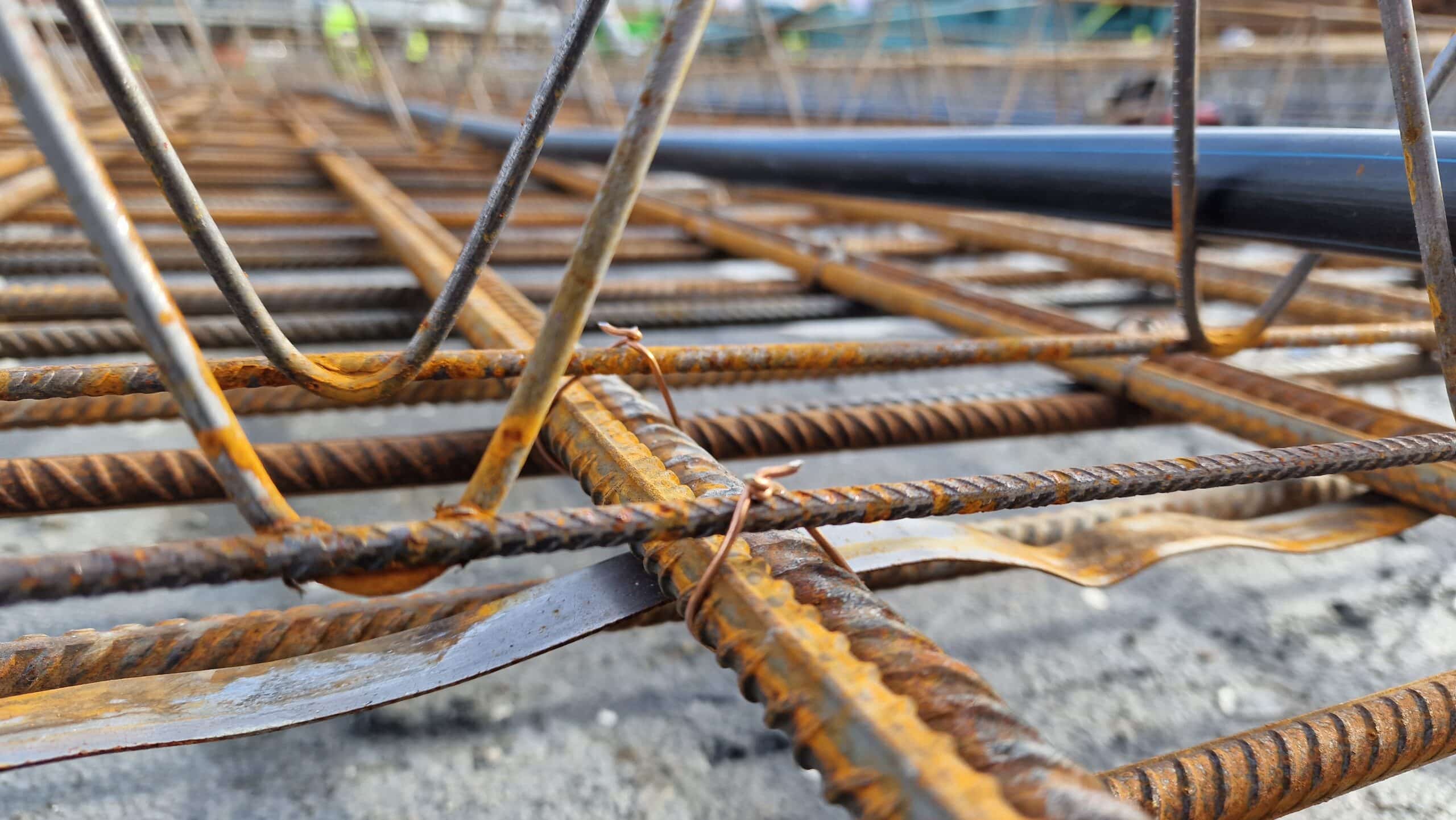 APP 20230304 0825067 scaled — Oslo