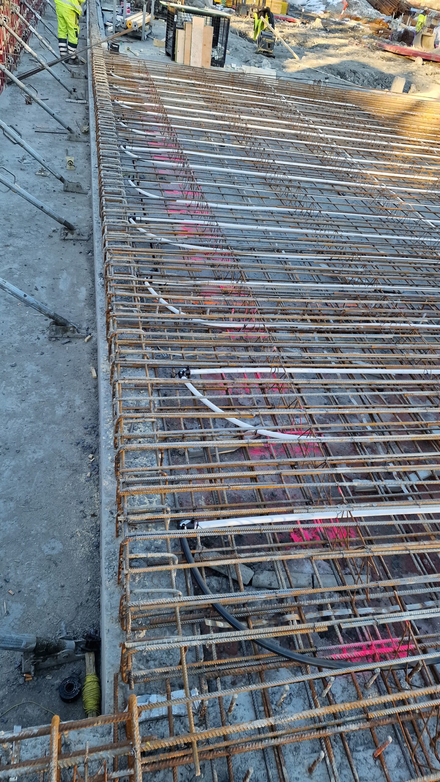 APP 20230306 1936088 scaled — Oslo