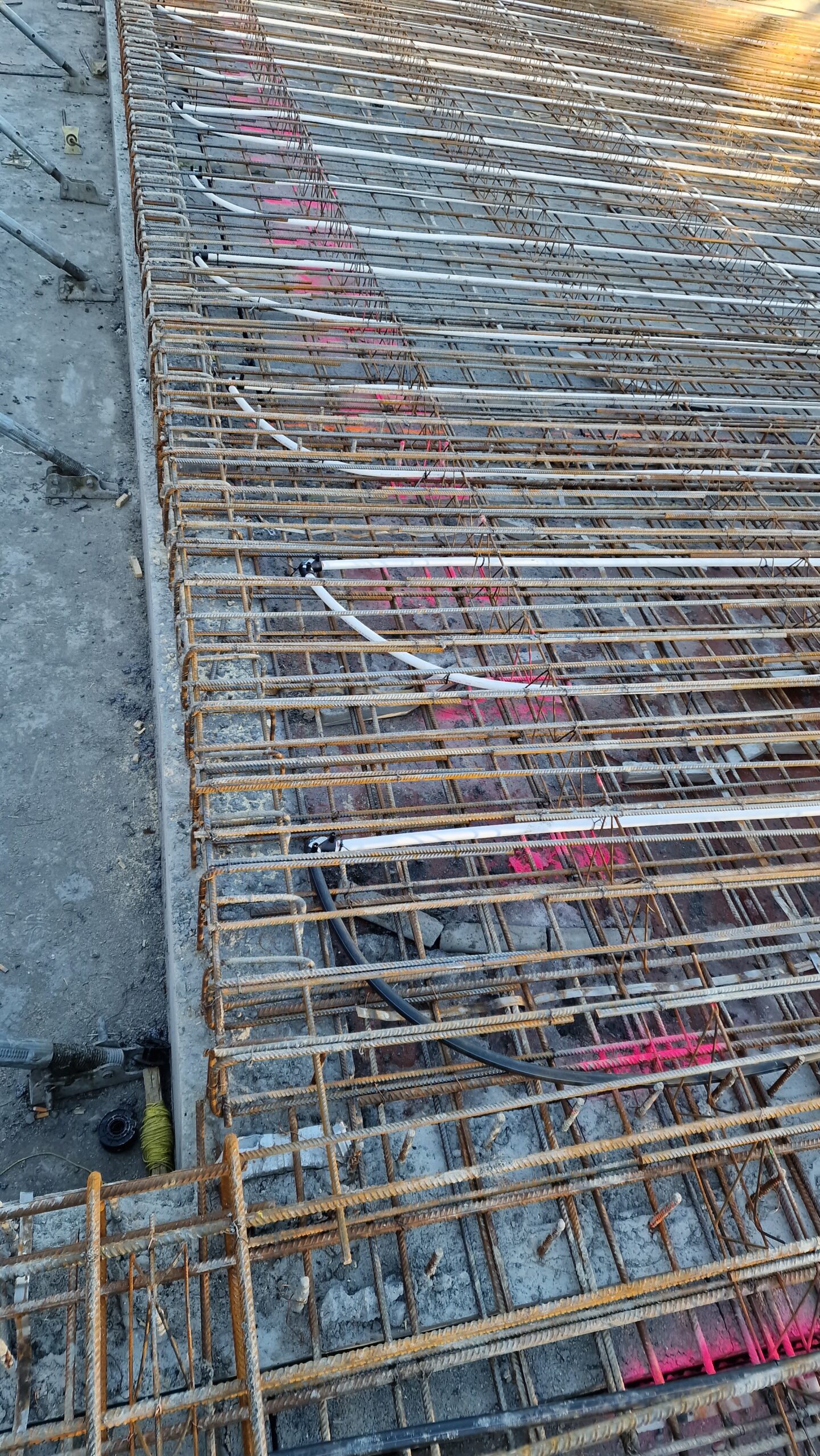 APP 20230306 1936089 scaled — Oslo