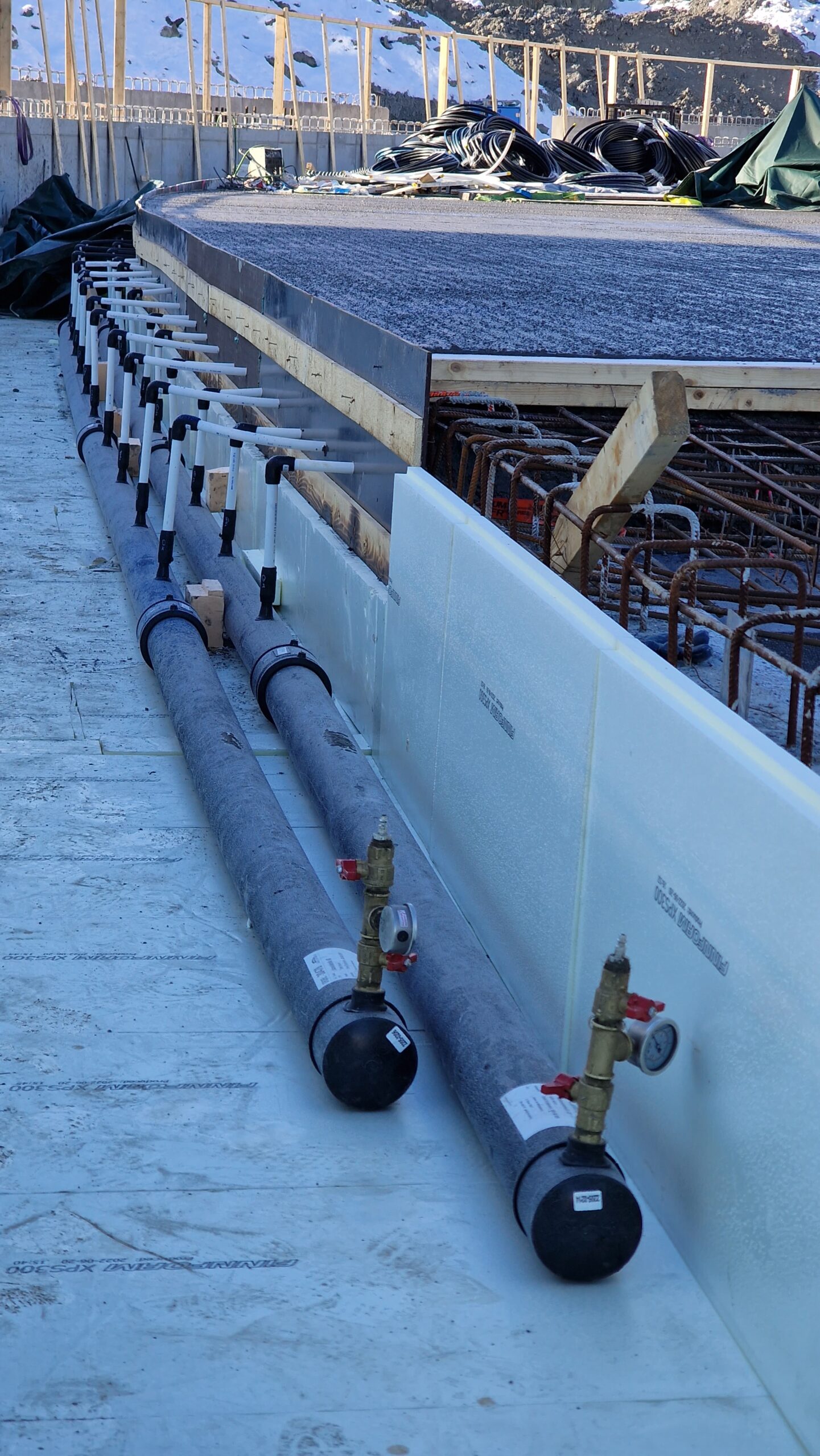 APP 20230308 1744511 scaled — Oslo