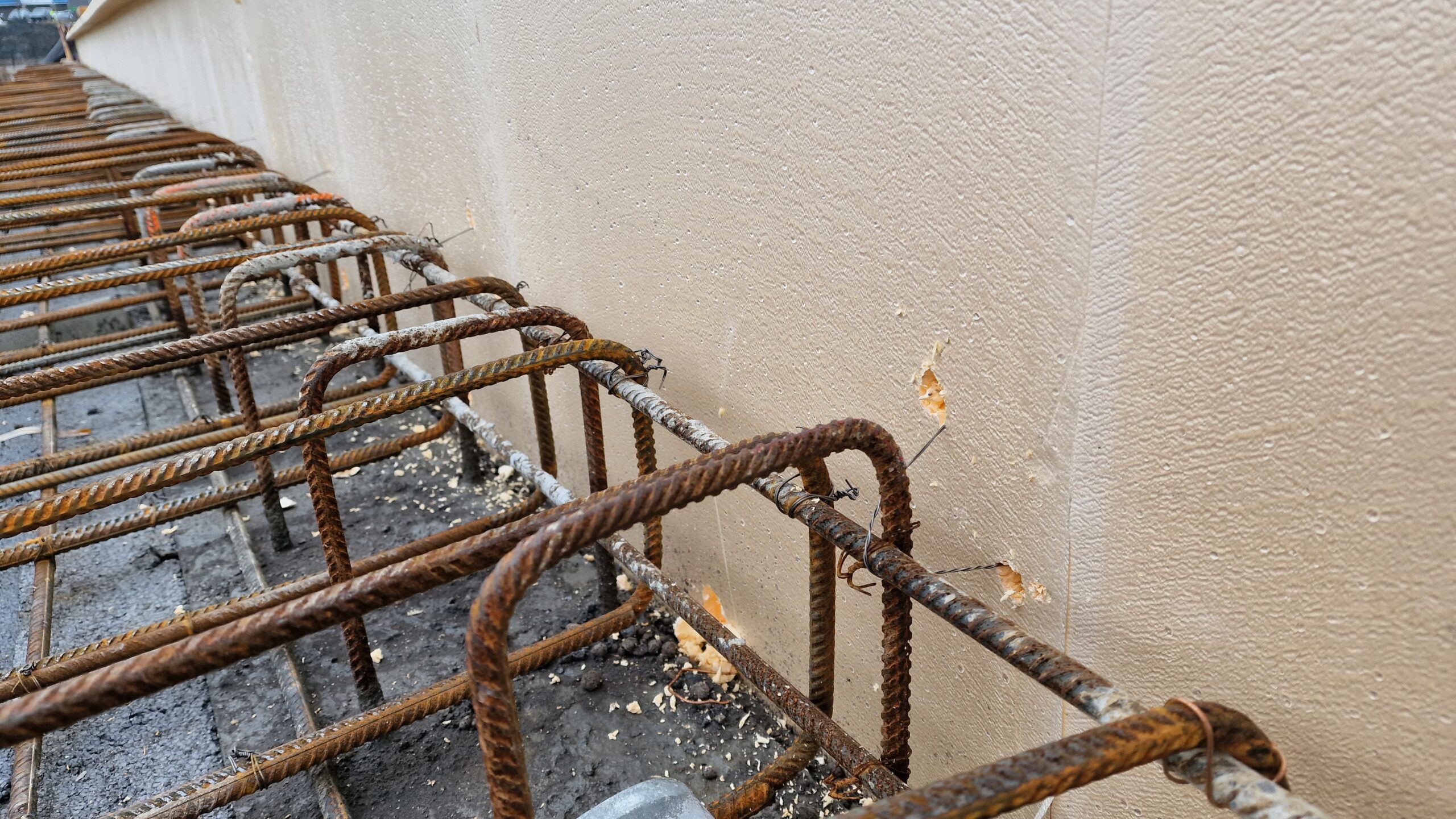 APP 20230323 21254918 scaled — Oslo