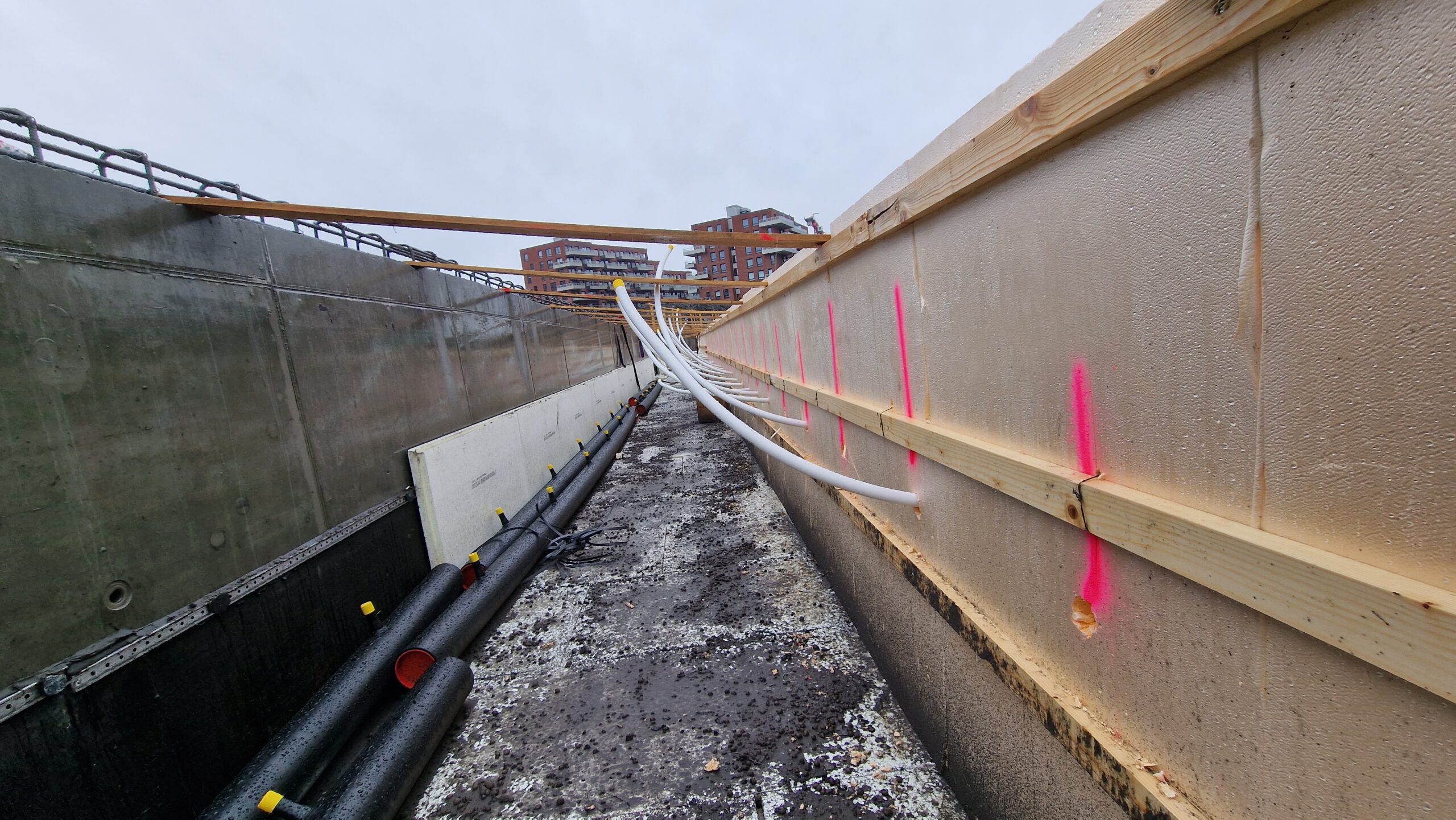 APP 20230323 21254934 scaled — Oslo