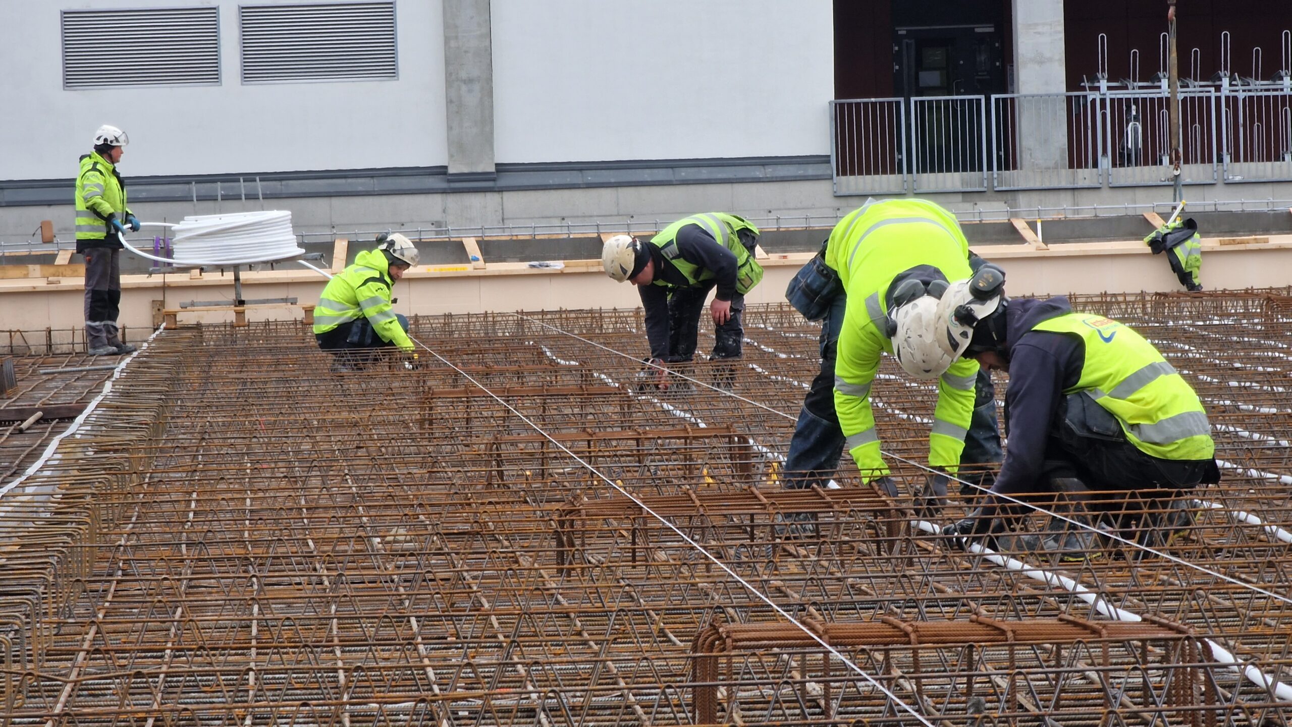 APP 20230324 192215 2 scaled — Oslo