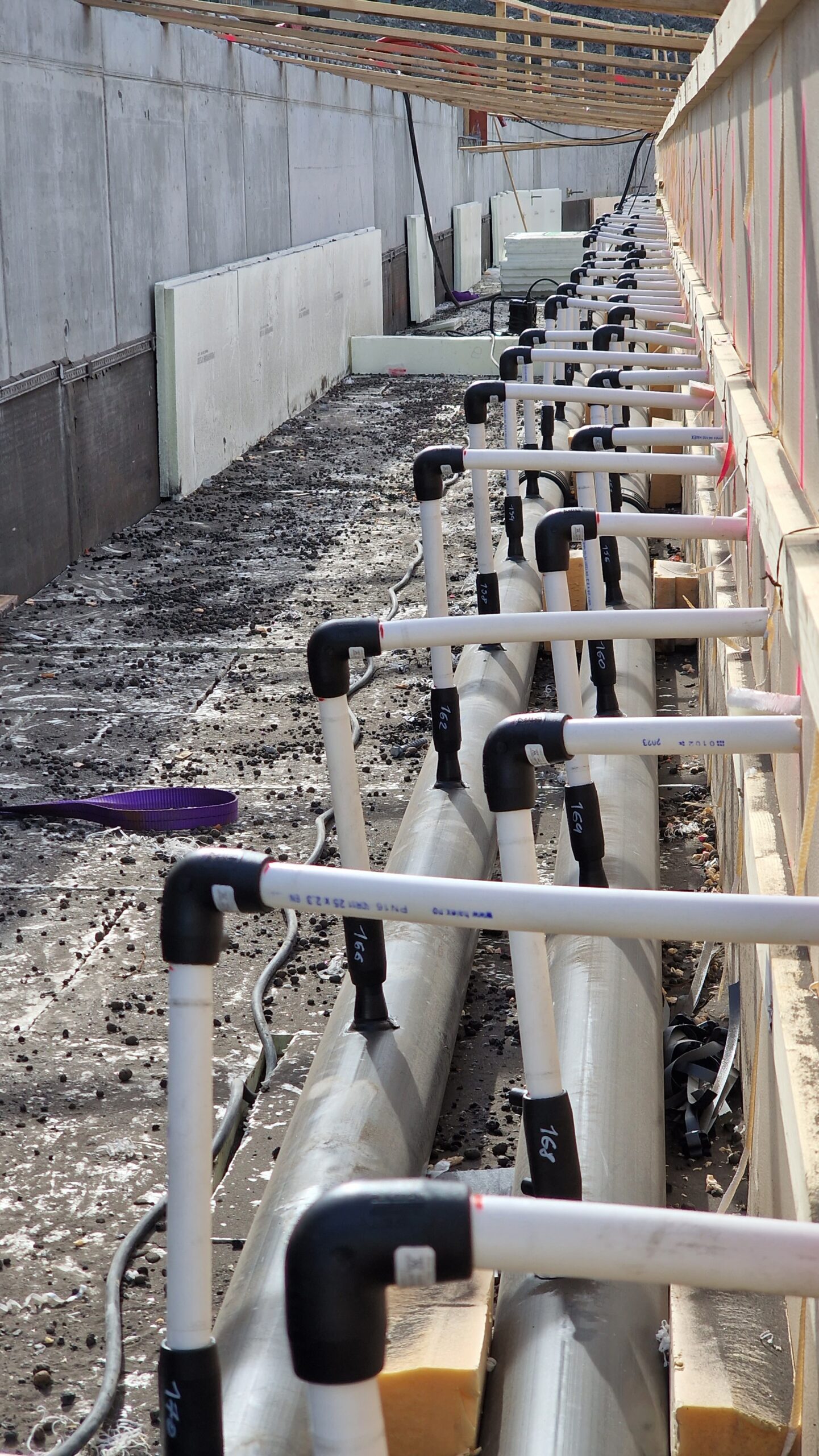 APP 20230328 1946053 scaled — Oslo