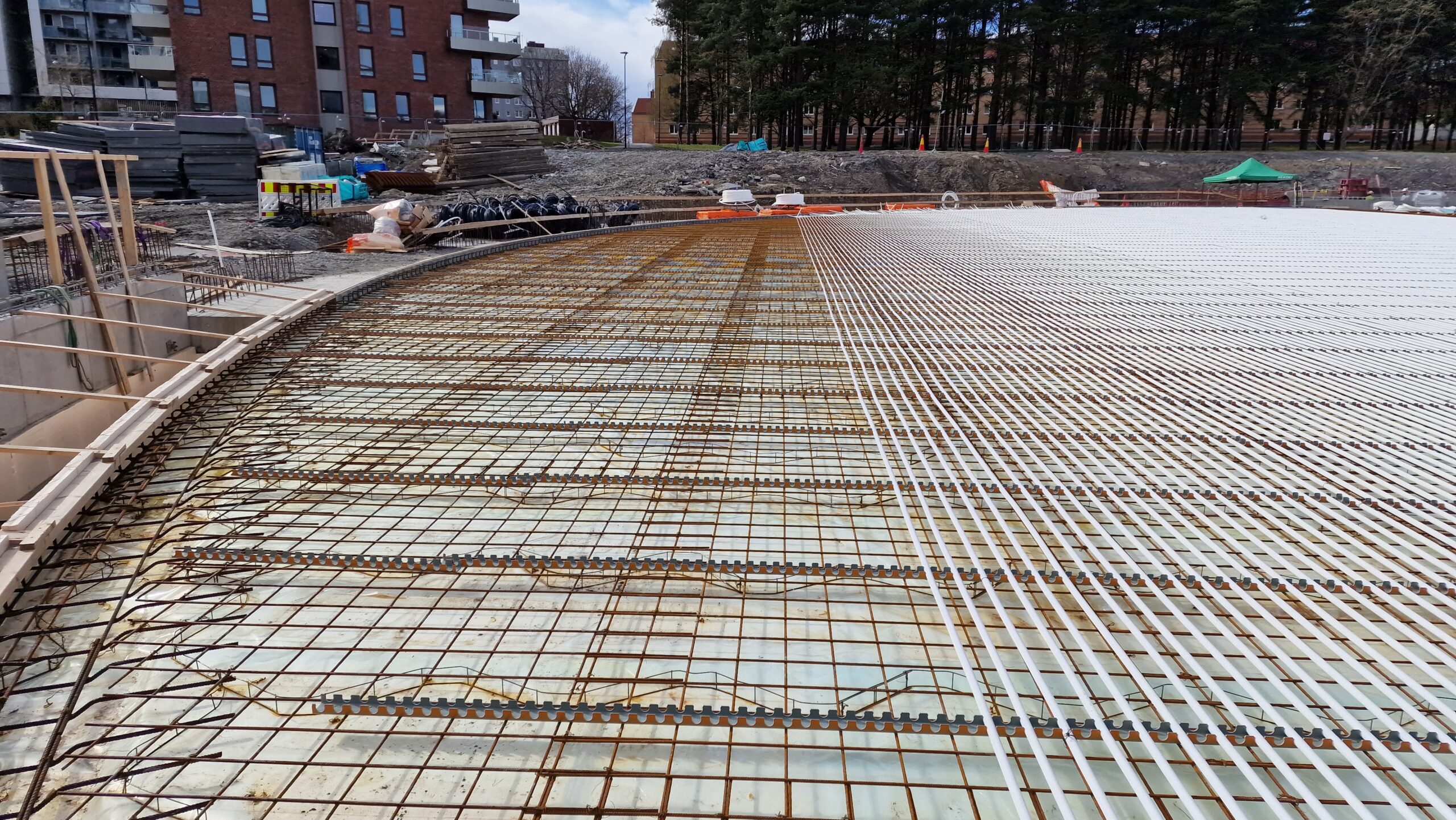 APP 20230427 2256466 scaled — Oslo