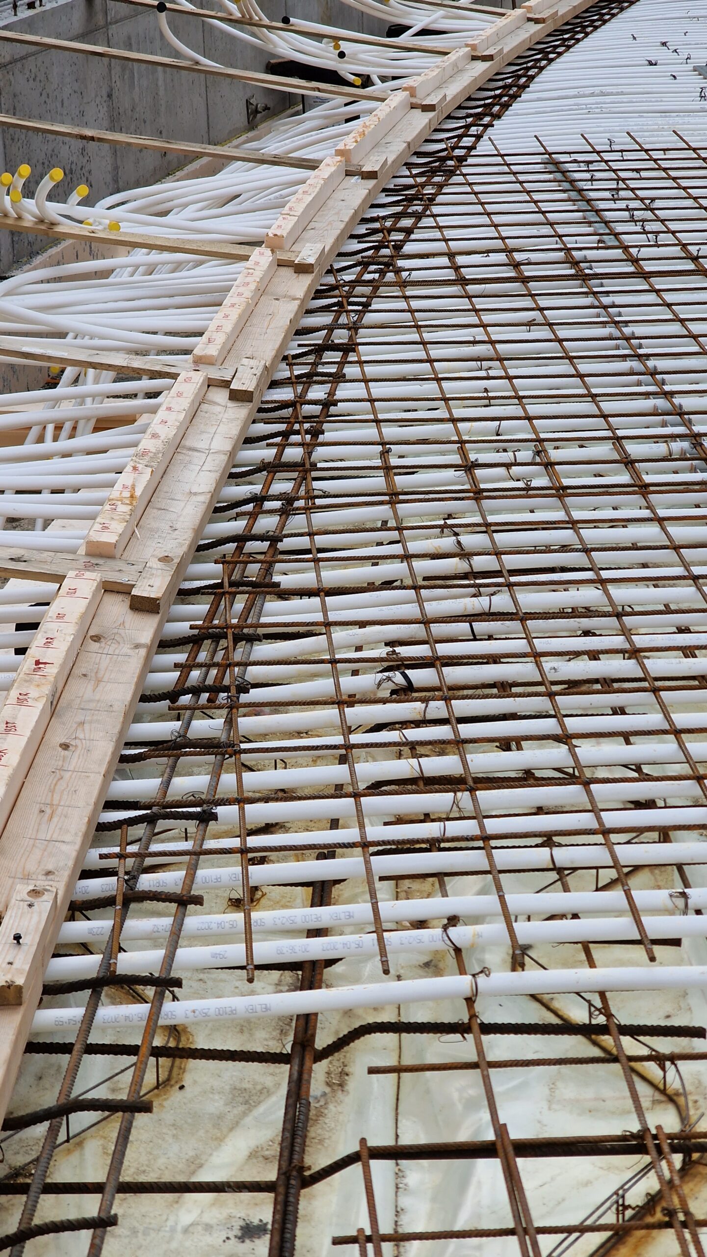 APP 20230503 2139402 scaled — Oslo