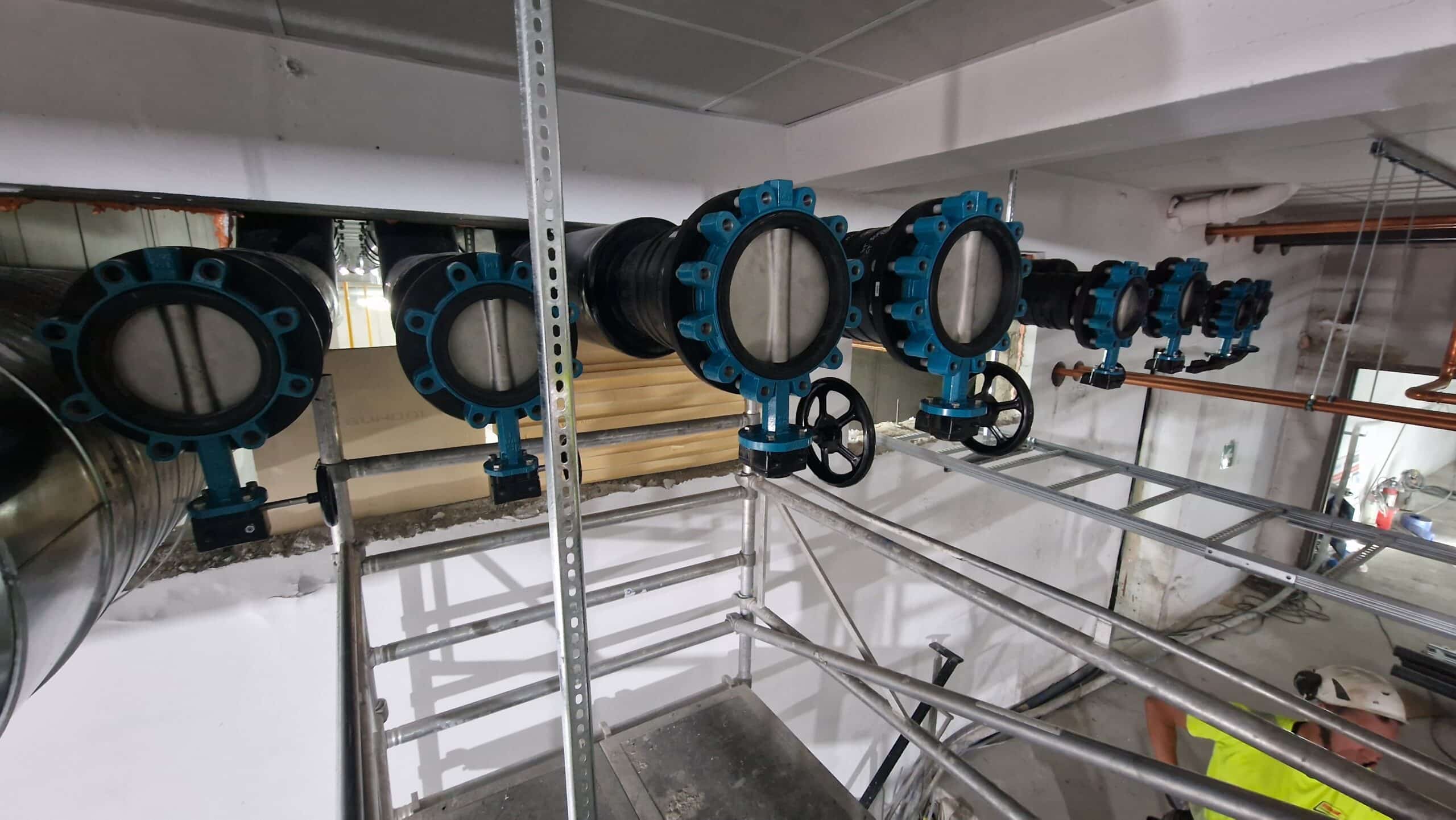 APP 20230712 224717 14 scaled — Oslo