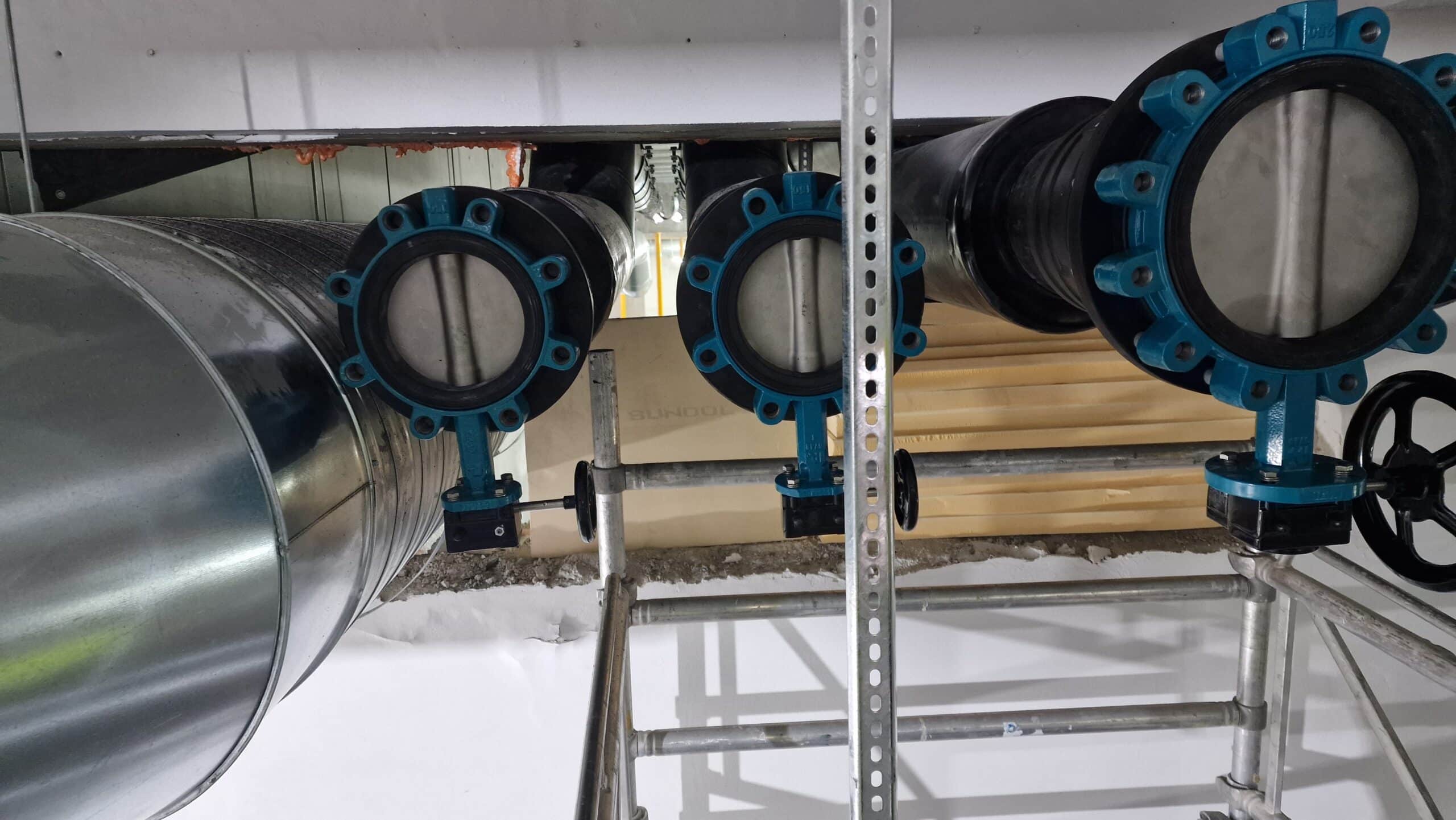 APP 20230712 224833 scaled — Oslo