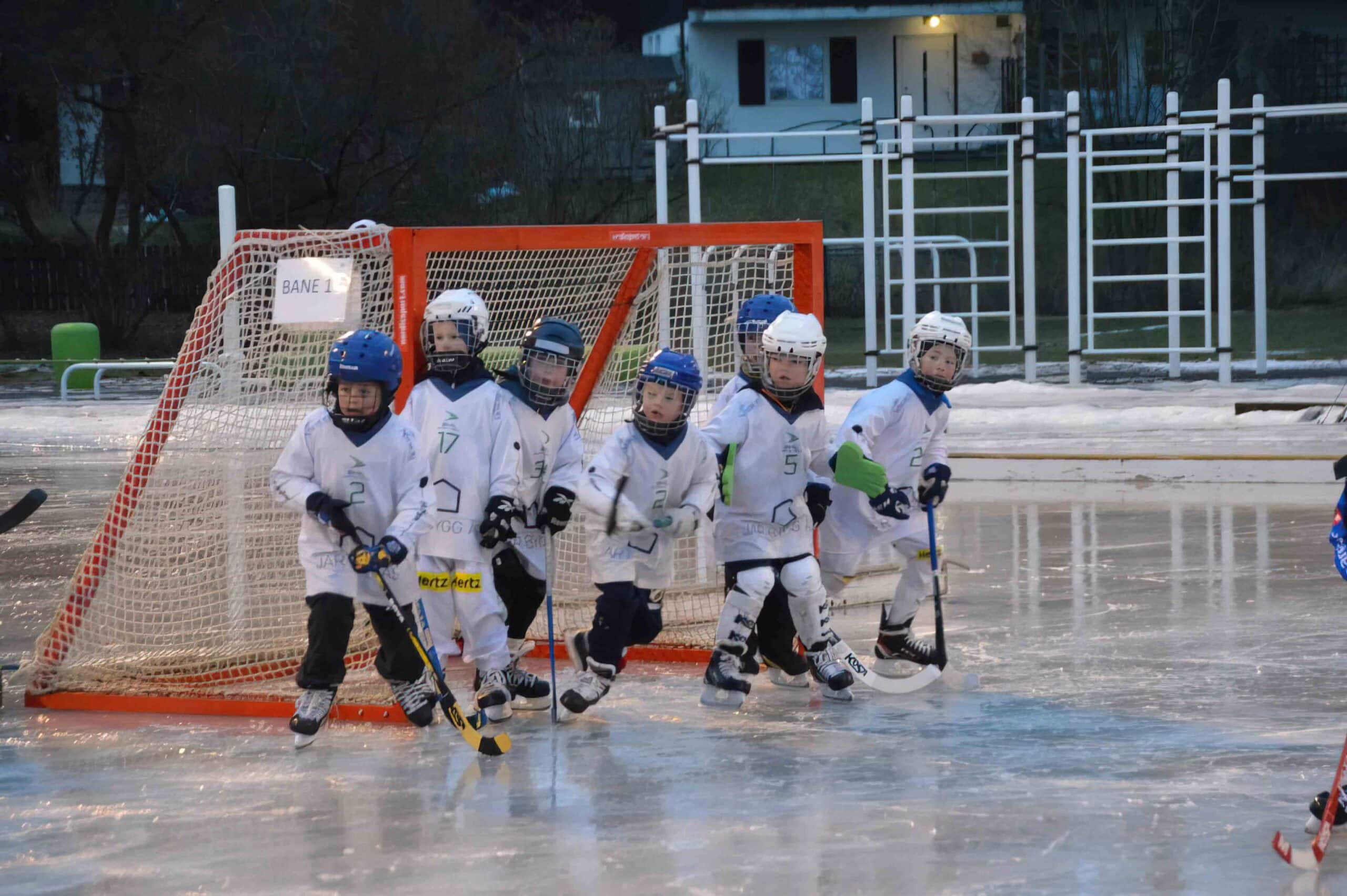 Sharpened DSC 0019﹖w1024ssl1 low res scale 4 00x scaled — Bærum