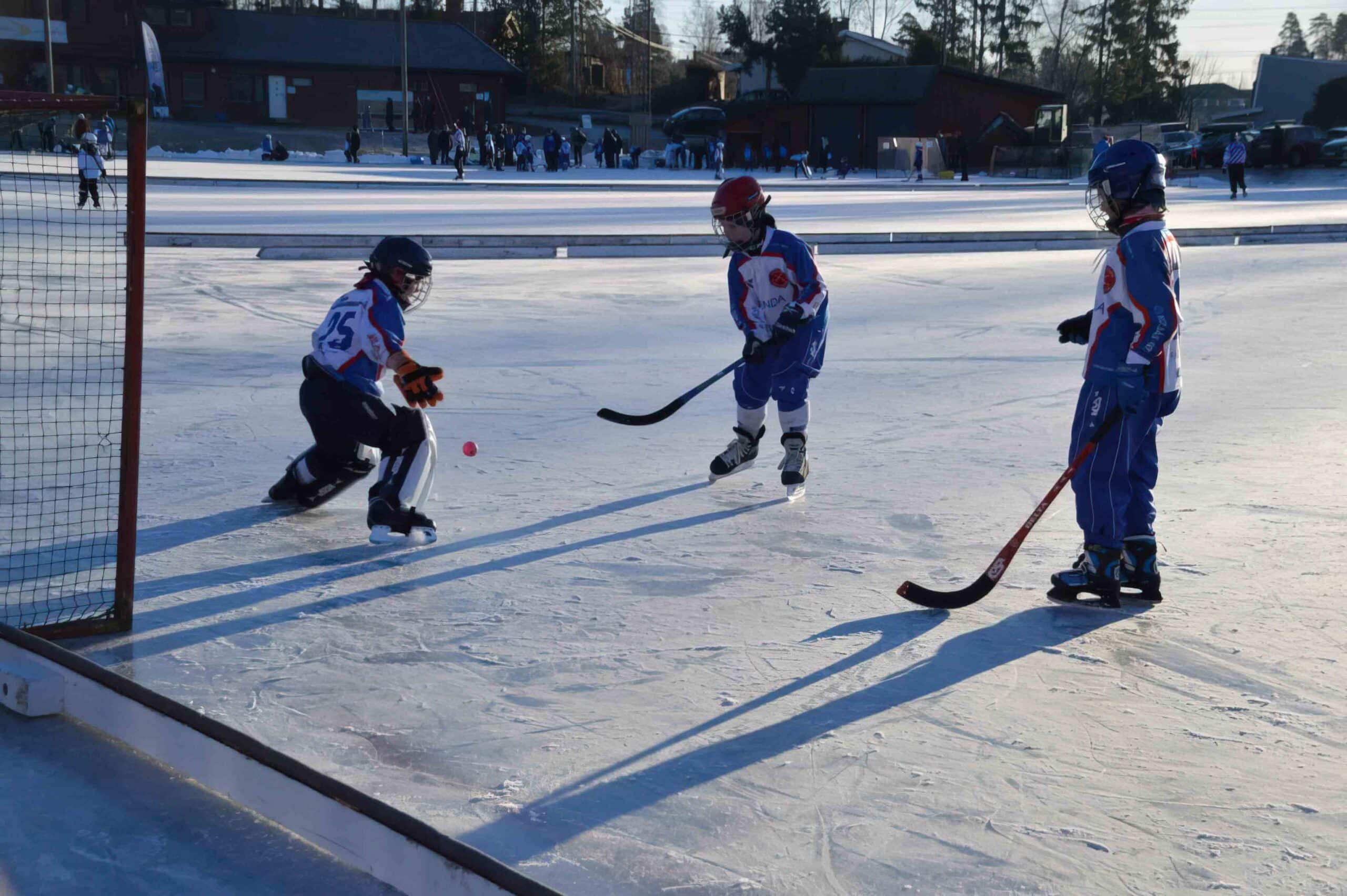 Sharpened DSC 0086﹖w1024ssl1 low res scale 4 00x scaled — Bærum