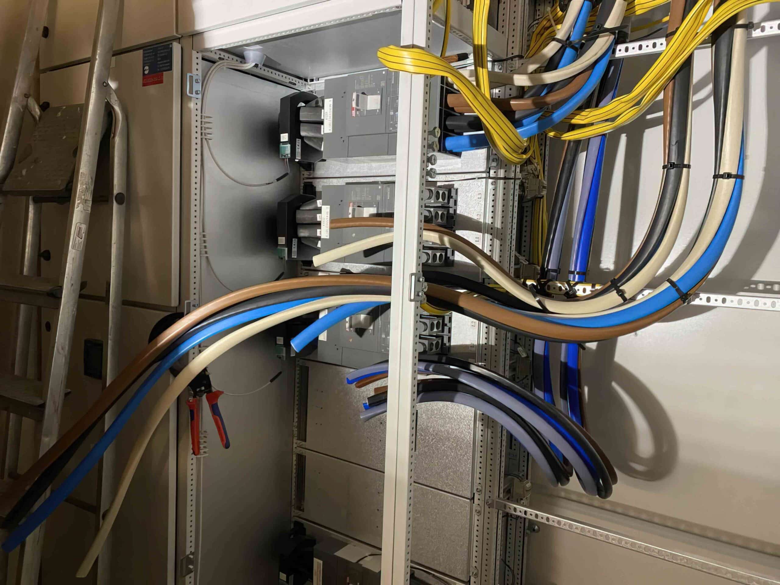 Sharpened IMG 3069 low res scale 4 00x scaled — Bærum