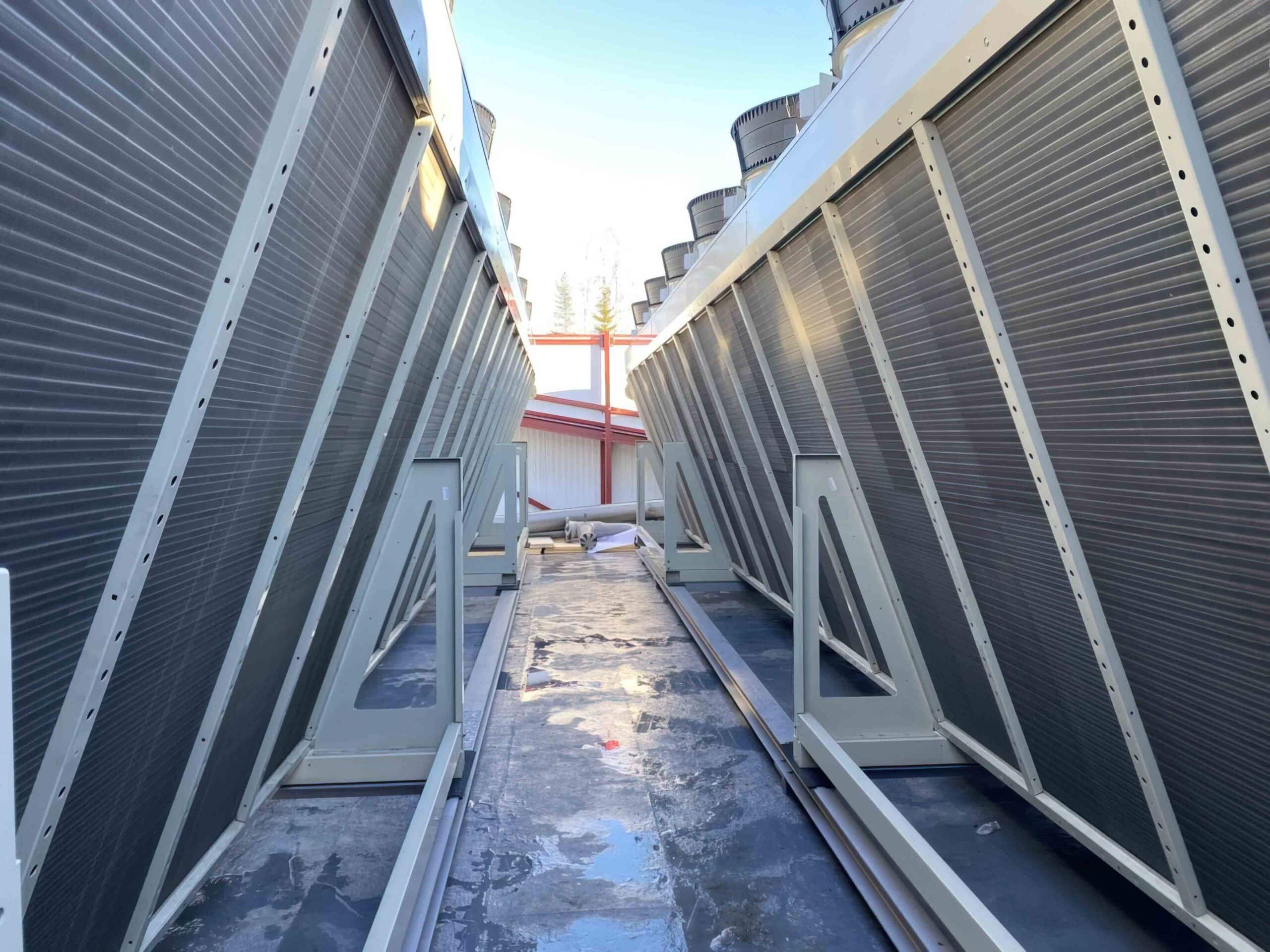 Sharpened IMG 3169 low res scale 4 00x scaled — Bærum