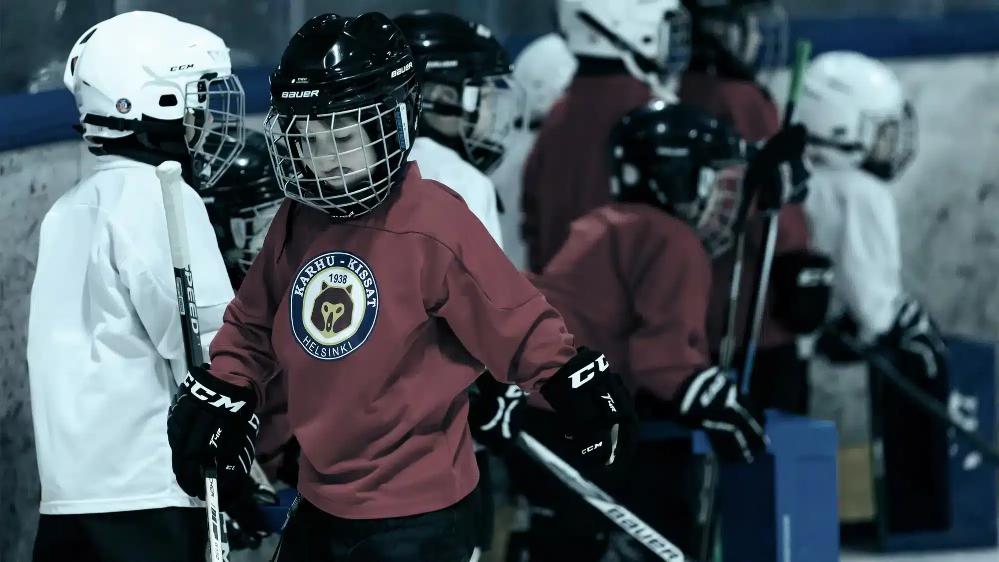 VePe IcePro F-serien BFU-sertifisert arenavant