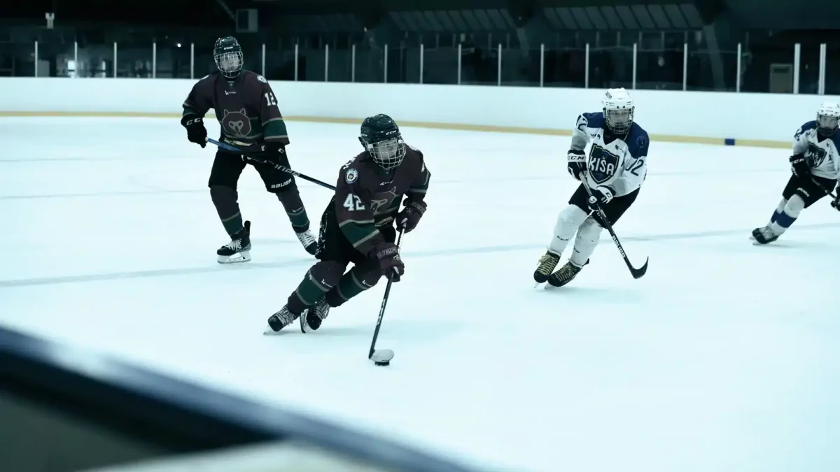 VePe IcePro X-serien — robust treningsvant med galvanisert stålrørramme