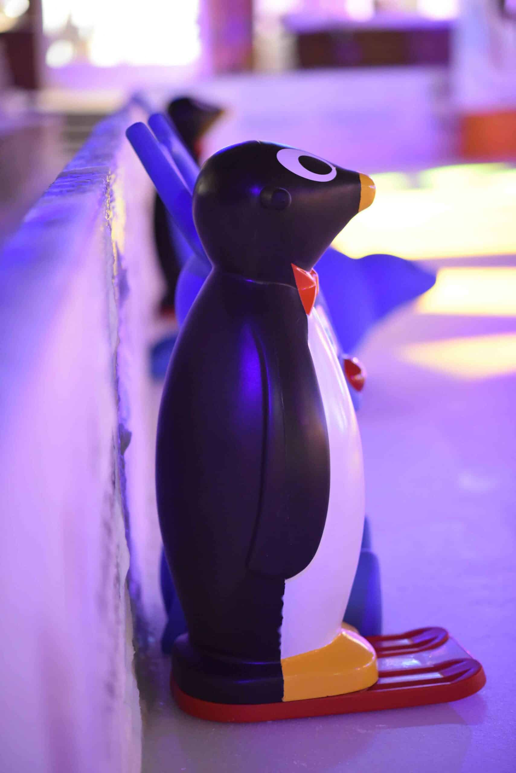 Nybegynnerstotte for skoytebane, galleri 6